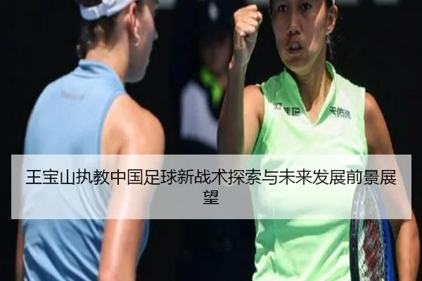 wang-bao-shan-zhi-jiao-zhong-guo-zu-qiu-xin-zhan-shu-tan-suo-yu-wei-lai-fa-zhan-qian-jing-zhan-wang-2-599.jpg