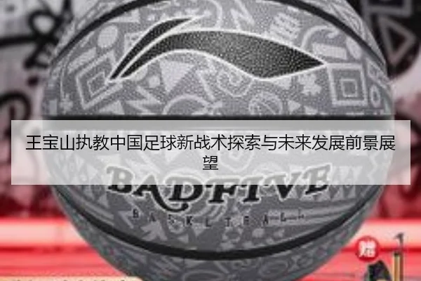 王宝山执教中国足球新战术探索与未来发展前景展望