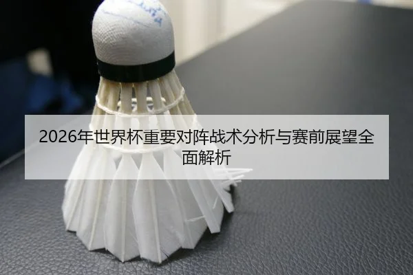 2026年世界杯重要对阵战术分析与赛前展望全面解析