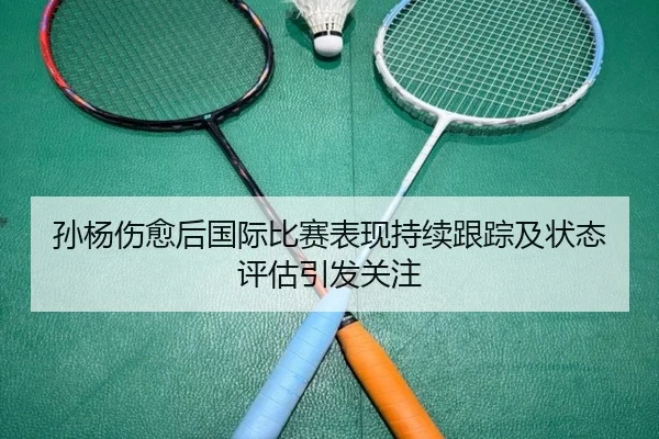 孙杨伤愈后国际比赛表现持续跟踪及状态评估引发关注